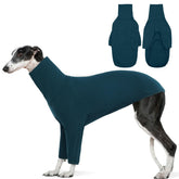 DENTRUN Italian Greyhounds Sweater front view warms lean bodies during chilly strolls.