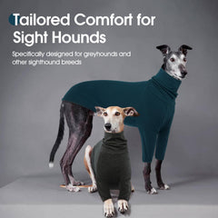 DENTRUN Italian Greyhounds Sweater turtleneck view emphasizes extended warmth for sighthounds.