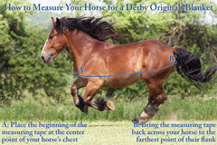 Derby Originals Nordic-Tough 1200D blanket side fit demonstrates contoured design for secure movement.
