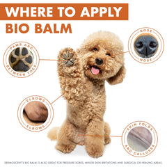 Dermoscent Bio Balm texture close-up highlighting thick, creamy consistency for easy spread.