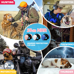 derYEP pink earmuffs on dog head demonstrate secure fit for outings