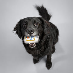 design LAB Chuckler inside promotes interactive play during tug or fetch.