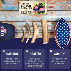 Devil Dog Elk Antler Durable Chew demonstrates extended play and satisfaction.