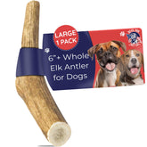 Devil Dog Elk Antlers large 6inch chew for dogs provides lasting engagement.