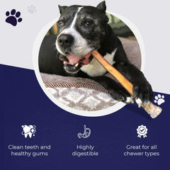 Devil Dog Jumbo Bully Sticks 12inch pack provides highly digestible protein for healthy energy.