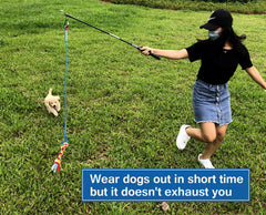 Dewonch flirt pole dog toy in action for tug-of-war and chase sessions.