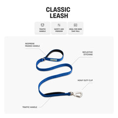 DF Co Classic Dog Leash with heavy-duty clip demonstrates secure control during activities.