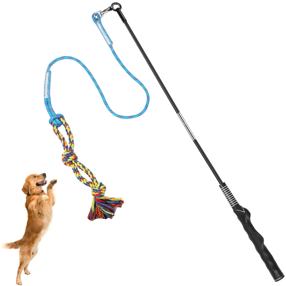 DIBBATU Flirt Pole setup for active dogs promotes energy and bonding during outdoor play