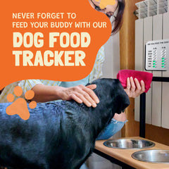 DID YOU FEED THE DOG? DYFTD adhesive-mount offers quick, sturdy wall installation.