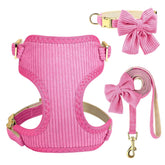 Didog cute small dog harness bowtie pink for everyday walks.