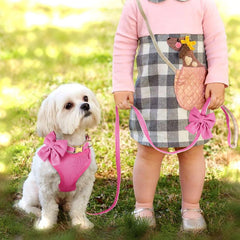 Didog collar with bowtie pink coordinates with the harness.