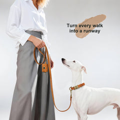 Didog easy-clean PU leather collar resists dirt and wipes clean after outdoor play