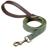 Didog PU Leather Leash with a soft padded handle for comfortable daily walks.
