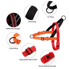 Didog no pull harness back D-ring red for casual walks