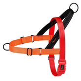 Didog no pull harness front D-ring red for training sessions