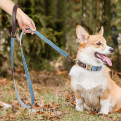 Didog leash padded handle close-up shows comfortable grip and safety.