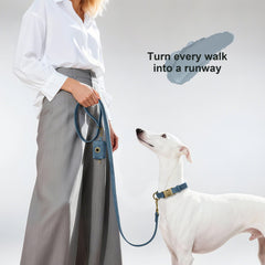 Didog soft leather dog collar D ring leash attachment enables secure walking