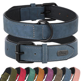 Didog soft-padded blue collar front view for comfortable daily walks