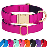 Didog soft padded rose purple collar closeup shows secure quick-release buckle for daily walks