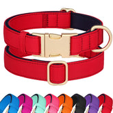 Didog soft padded collar small red buckle close-up for comfortable daily walks.
