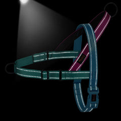 Didog Soft padded handle on harness for comfortable control
