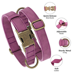 Didog purple adjustable collar shows secure fit for large dogs during active daily use.