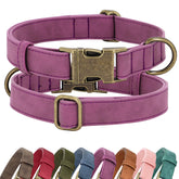 Didog soft PU leather dog collar in purple with quick-release clasp for easy on/off daily walks.