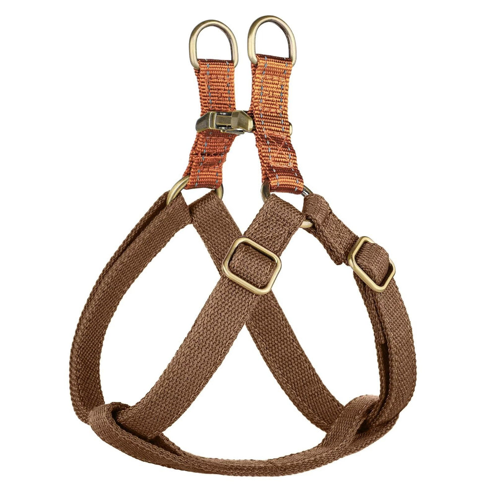 Didog Step-In harness closeup shows secure metal buckles for safer daily walks.