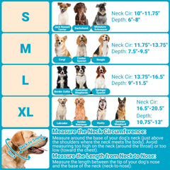 Didopet elastic loops securely hold a daily collar without restricting movement