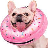 Didopet inflatable dog pillow-cone offers gentle recovery support while avoiding licking