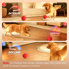 Diman dog ball chase action demonstrates engaging motion for dogs.