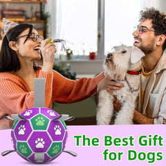 Diman ball in water play to encourage retrieval and splashy fun.