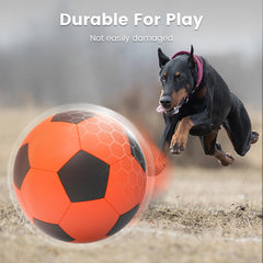 Diman Herding Ball with dogs running on grass for active training.