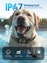 DINJOO Smart Bark Collar USB charging setup for quick power restore