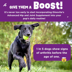 Dinovite BeneBoost dog-eating scene after topping meals.