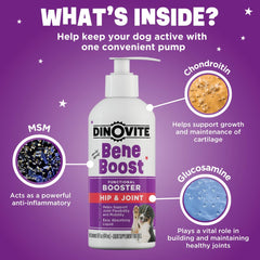 Dinovite BeneBoost label closeup highlights bacon flavor and ingredients.