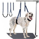 DISCPETSEC dog grooming belly strap for secure at-home grooming with padded comfort