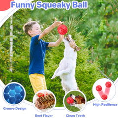 DISSKNIC indestructible squeaky dog ball textured surface aids chewing and teething exploration