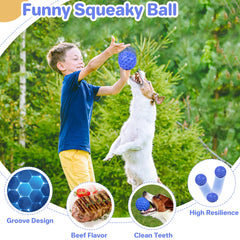 DISSKNIC tough squeaky dog balls floating in water demonstrate a fun water toy for dogs