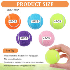 DIVINA VITAE 2-inch size balls fit dog ball launchers for easy games