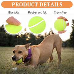 DIVINA VITAE rubber and fiber material close-up shows durability for chewing