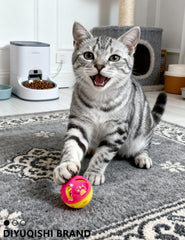 DIYUQISHI durable plastic ball; withstands claws for longer-lasting play