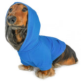 DJANGO dog hoodie alpine blue on dog provides cozy warmth for winter walks.