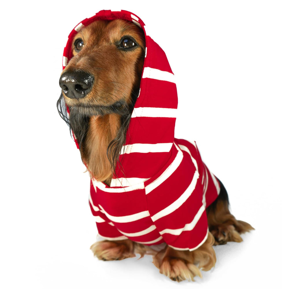 DJANGO Dog Hoodie in crimson red front view offers cozy warmth for small dogs.