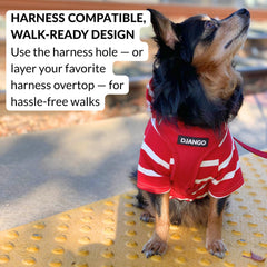 DJANGO Dog Hoodie elastic waistband fit allows secure, flexible wear for active dogs.