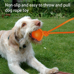 DLDER pool-ready dog ball toy supports water play and cooling fun.