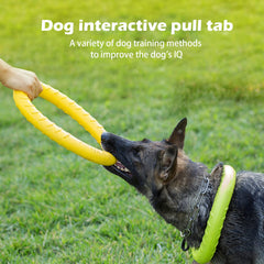 DLDER XL floating dog toy disc stays visible on water for outdoor play.