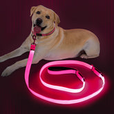 Dlitk light-up dog leash pink glow enhances night visibility for walks