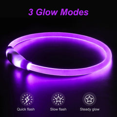 Dlitk USB-rechargeable LED dog collar for easy on-the-go charging.