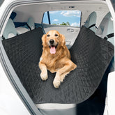 DMS PROTECTOR large dog car seat cover on back seat provides spill protection.